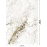 Kek Amsterdam Marmor-Goldtapete MW-058- 200x280cm