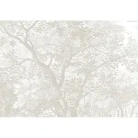 Kek Amsterdam Gravierte Landschaften Tapete WP-773 grau 300x280cm