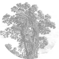 Kek Amsterdam Gravierte Landschaften Tapete Kreis SC-013- ø142,5cm