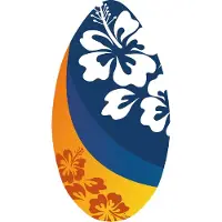 Clown Games Skimboard Flower Or/Br