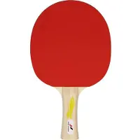 PRO TOUCH Tischtennis-Schläger PRO 2000
