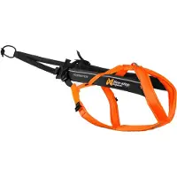 Non-Stop Dogwear Zuggeschirr Freemotion Harness 5.0 schwarz/orange