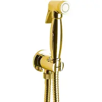 Sapho Bidetbrause, Retro-Stil, Schlauch und Brausehalter mit Duschanschluss, Gold
