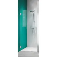 Sealskin Get Wet I Am Draaideur voor nis 100x200cm RVS/Helder glas (antikalk)