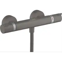Hansgrohe 13116340 Thermostat Ecostat Comfort