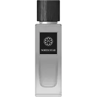 The Woods Collection North Star Woda perfumowana, 100 ml