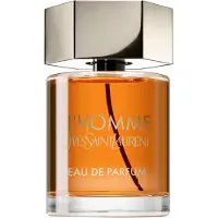 Yves Saint Laurent - YSL L'Homme Eau de parfum Spray 100 ml Herren