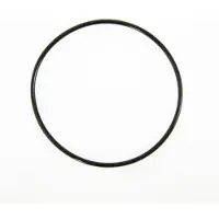 Bestway Tank O-Ring für 1000gal Sandfilter