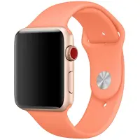 Apple Sportarmband