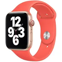 Apple Sport Band Regular 44 Mm Rot