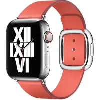 Apple Modern Buckle 40 Mm Rosa L