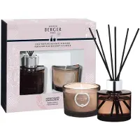 Maison Berger Joy - In den Agaven Gärten Raumduft Set Diffuser + Duftkerze - Letzte Chance