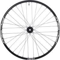 Stans Stan's Flow EX3 Vorderrad – 29 Zoll – 15 x 110 Zoll – 6-Loch – Grau
