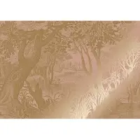 Kek Amsterdam Gold gravierte Landschaften Tapete Nude MW-097 400x280cm