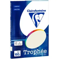 Clairefontaine Kopierpapier Trophée grau DIN A4 120 g/m² 250 Blatt