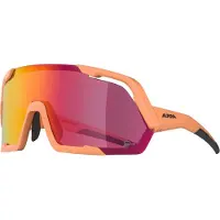 Alpina Herren Brille ROCKET Q-LITE