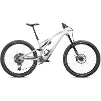 Specialized Stumpjumper Evo Expert 29´´ Gx Eagle Axs 2023 Mountainbike