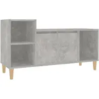 vidaXL TV-Schrank Betongrau 100x35x55 cm Holzwerkstoff