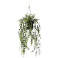 Botanic-Haus Künstliche Zimmerpflanze "Asparagus-Hängeampel"