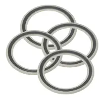 Campagnolo Lip Dichtring 4 Einheiten