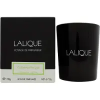 Lalique Osmanthus Himalaya Nepal 190g Kerze