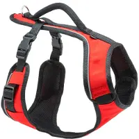 Petsafe EasySport Geschirr
