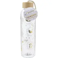 Paladone Harry Potter Glass Water Bottle Constellations
