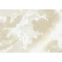 Kek Amsterdam Goldgravierte Wolkentapete MW-176 - 200x280cm