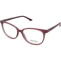 Polaroid Damen PLD D487 B3V Rahmen von BRILLEN Plastik Violett Cat Eye