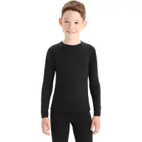 Icebreaker 200 Oasis Crew Merino Langarm-t-shirt