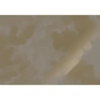 Kek Amsterdam Gold Gravierte Wolken graue Tapete MW-186 - 300x280cm