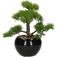 Atmosphera Jj070 36 Cm Deco Green Collection Künstliche Pflanze
