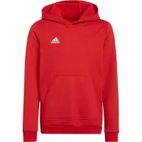 Adidas Kinder-Kapuzenpullover Entrada 22