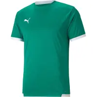 Puma Teamliga Trikot Kurzarm Herren - Grün / Weiß