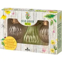 Moses Blatt & Blüte Solar Lichter 3er Set Gartendeko