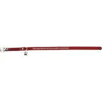 Beeztees Bz Katzenhalsbd Swarovski Rot