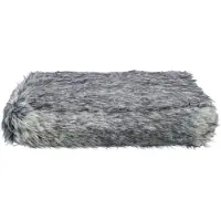 Trixie 38072, Drinnen, Katze, Polyester, 700 mm, 550 mm