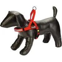 Beeztees Parinca Premium - Hundegeschirr - Nylon - rot - 42-53 cm x 20