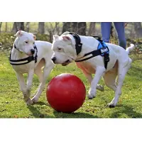 Jolly Push-n-Play - Blau - 15 cm
