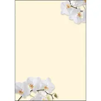 Sigel Design-Papier