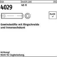 Lemvigh-Muller M 16X20 sort pinol skrue ISO 4029 - (100 stk.)