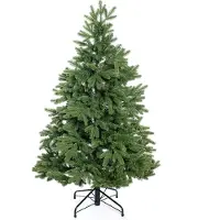 Evergreen Roswell Kiefer 150 cm 150 cm