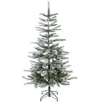 Evergreen Cedar Kiefer Frost 150 cm 150 cm