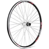 Gurpil Hinterrad MTB cassete 8v Zac