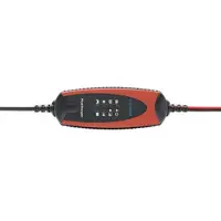 Procharger 1.000 Lithium BATTERIELADEGERÄT