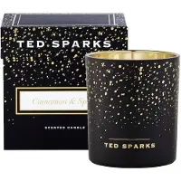 Ted Sparks Duftkerze Demi Cinnamon & Spice