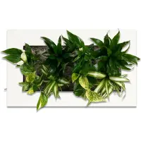 Flowerbox Pflanzenbild Flowerwall M