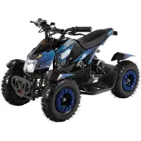 Actionbikes Motors Elektro Quad Miniquad Kinder Atv Cobra 800 Watt Pocketquad Kinderquad Pocketbike (Blau/Schwarz)