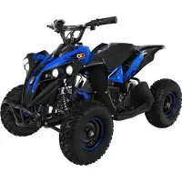 Actionbikes Motors Miniquad Elektro Kinder Atv Reneblade1000W Pocketquad Quad Pocketbike Kinderquad (Schwarz/Blau)