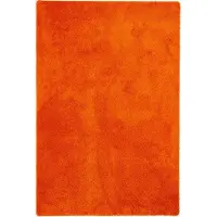 Snapstyle Hochflor Shaggy Teppich Palace Orange 160x200cm